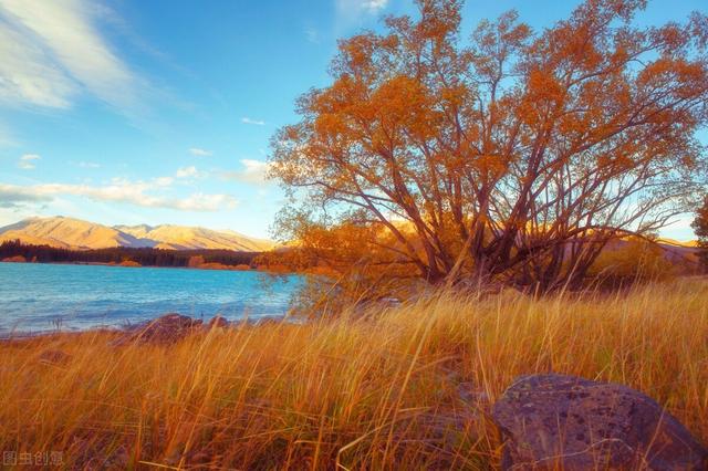 欲海浮沉(短篇小说4)