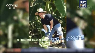 我问你这瓜保熟吗？保熟！我这大数据挑瓜，红外测糖，震动测脆度……