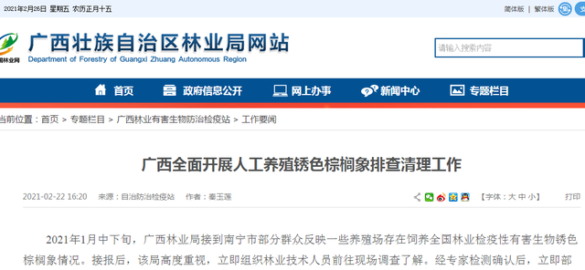 危害性极强！广西现存1千多万只，看到有人卖这种入侵害虫请举报