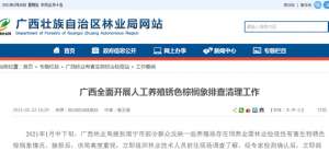 竹象虫(危害性极强广西现存1千多万只，看到有人卖这种入侵害虫请举报)