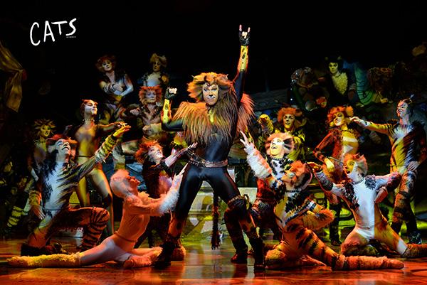 复刻伦敦西区,音乐剧《猫》来上海连演43场