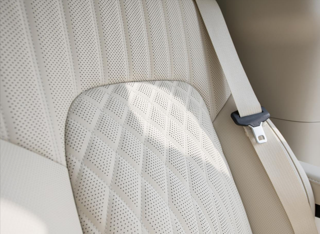 拥有一台安全智能舒适的家用明星保姆车是种怎样的体验？