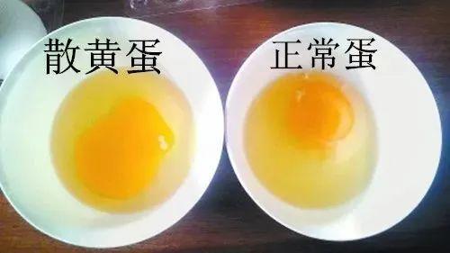 “坏蛋”是怎么炼成的？