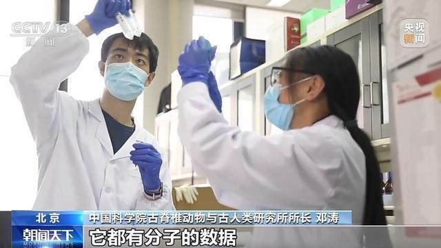 非洲黑犀起源于中国？中国科学院：原始祖先1000多万年前就生活在中国土地上