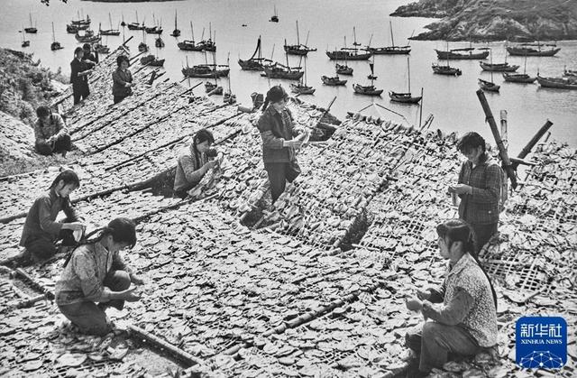 “国社之镜·世纪光影”新华社新闻摄影展丨丰衣足食(下篇)