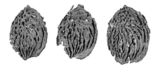 “桃”醉一夏 这里有爱上它的N个理由