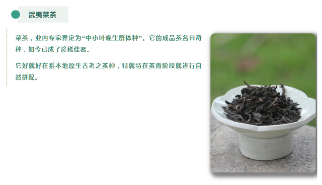 武夷菜茶之我说