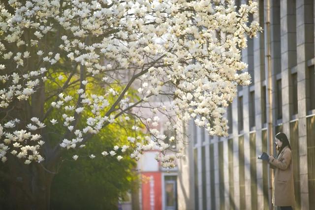 大工人拜年必备语录.zip