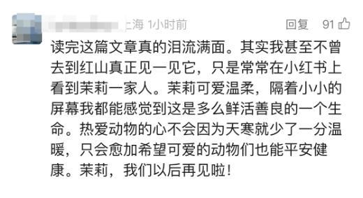 官方确认：已死亡，死因公布！2个孩子也因此离世...