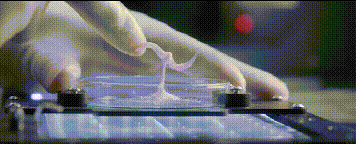 8部末日灾难片，脑洞一个比一个大