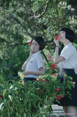 十七岁电影(台影推荐《十七岁》：青春呼啸而过，没有人不怀念17岁)