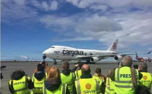 两只白鲸远离家乡10年，众人为帮助它们回家，陪同飞行6000英里