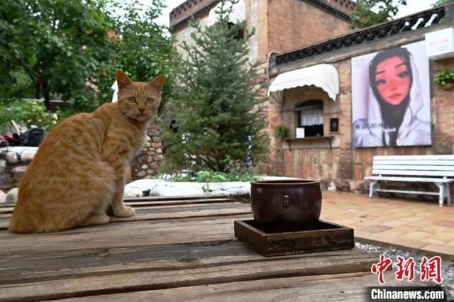 （走进中国乡村）太行山里的“千年瓷乡”：窑火隐千载 古瓷藏新韵