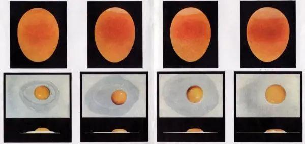 “坏蛋”是怎么炼成的？