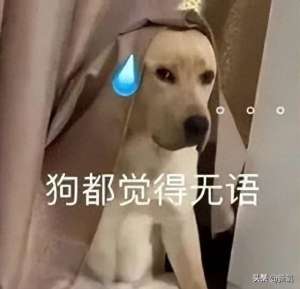 水野真纪(日媒爆料：实业家和两位日本一线女星都有过关系，次元壁破得离谱)