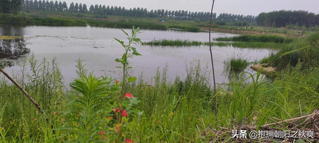 蒋大为和他演唱的那首令人泪目的《北国之春》