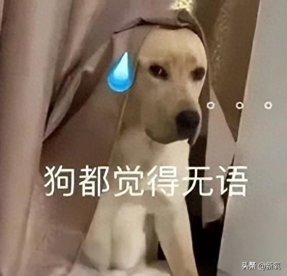 日媒爆料：实业家和两位日本一线女星都有过关系，次元壁破得离谱