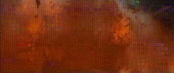 8部末日灾难片，脑洞一个比一个大