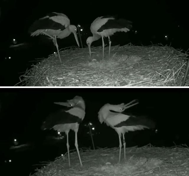 外国网友分享大自然令人震撼的瞬间，这世界真的太美好了