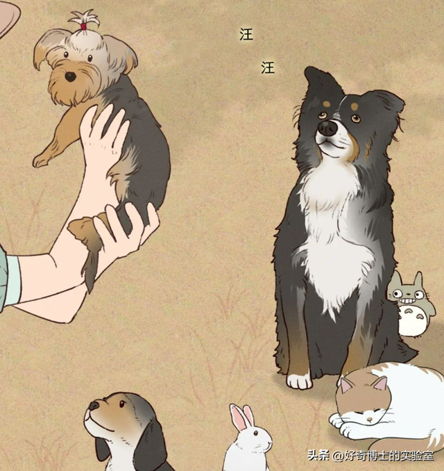 外国狗可以和中国狗交流吗？