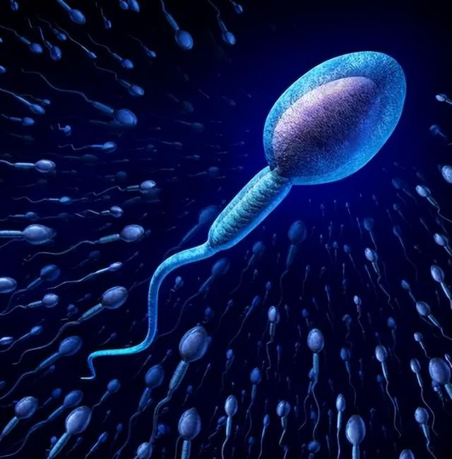 为何会有人对精液过敏？对精液过敏的女生，要怎么生娃？