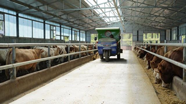 大井镇：以“存量”换“增量”  让闲置资源“火起来”