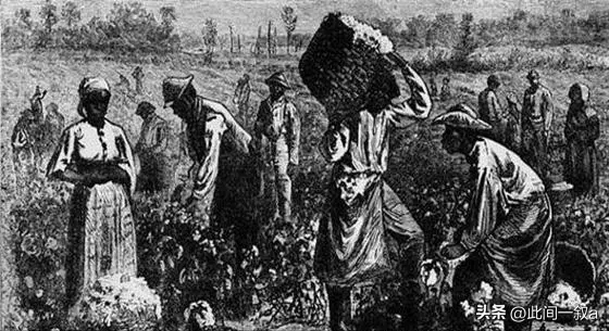 鲜为人知的白奴贸易：上百万白奴被抓到非洲，白人女子沦为玩物