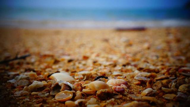 中国电影的票房巨头：揭晓总票房成绩排名前十的导演