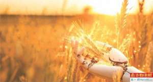 王卯卯(“如何处理与AI的关系、如何让AI为我们所用，已成全球电影人共同的问题”)