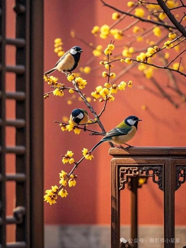 七绝 · 鲤城诗词学会新春吟唱会感怀