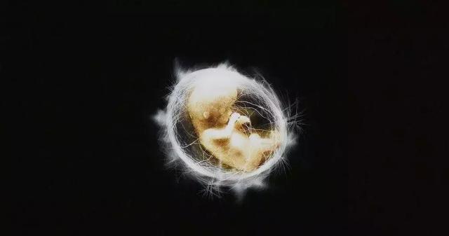 8部末日灾难片，脑洞一个比一个大