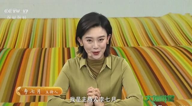 5年过去了,2019年央视主持人大赛的12位选手,差距已经拉开了