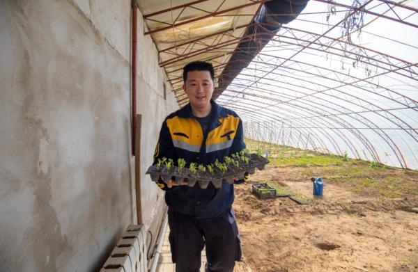 他们在沙漠里实现了“果蔬自由”