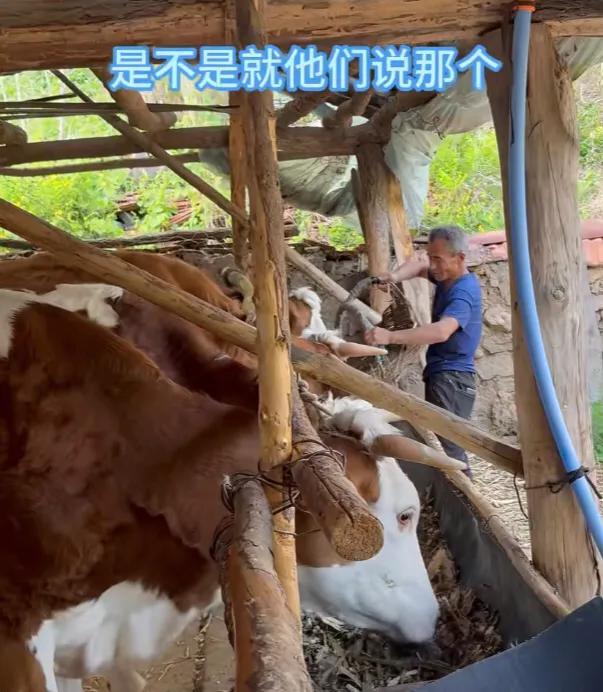 百万网红小贾老师直播带货首秀!一家三口齐上阵,在线人气破8万