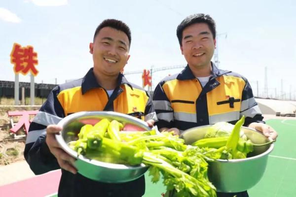 他们在沙漠里实现了“果蔬自由”