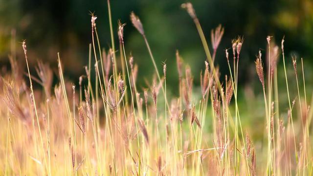 《男人那点尴尬事，这一招让你彻底翻身》