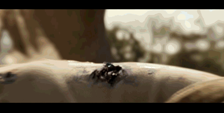 《猎人克莱文》12月14日上映！来看点男人该看的野片