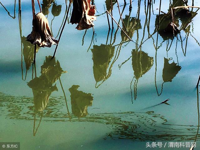 了然：一眼万年