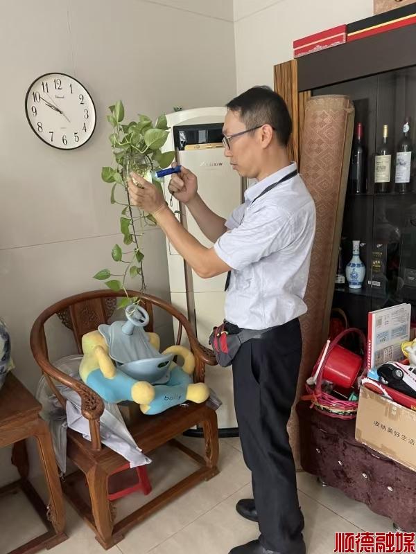 顺德医生故事丨你们的点滴努力，汇成了巨大合力