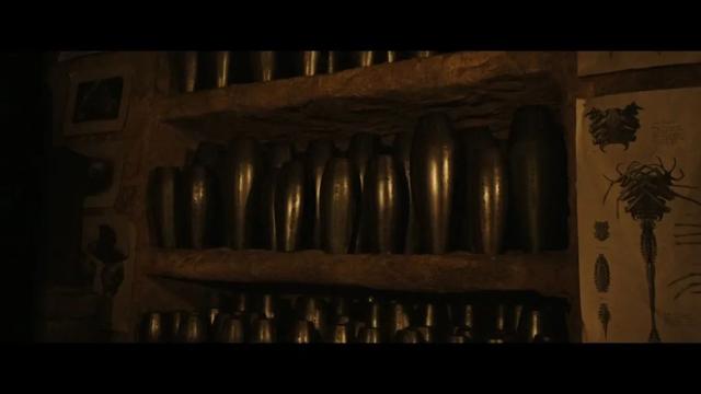 深度解析异形家族的关系：黑水是一切的根源，人类不过是宿主！