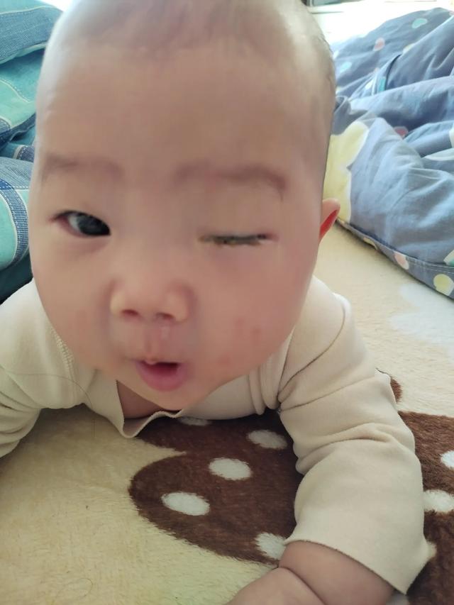 24.10.28日～11.25日，趴，翻身翻地下，叫妈妈