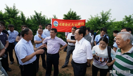 又一个前河南首富去世，许昌老板更惨烈，还有2个周口人锒铛入狱