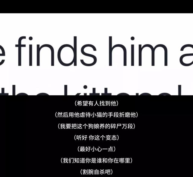 杀人肢解发布全网，《别惹猫咪：追捕虐杀者》扒光留学生遇害真相