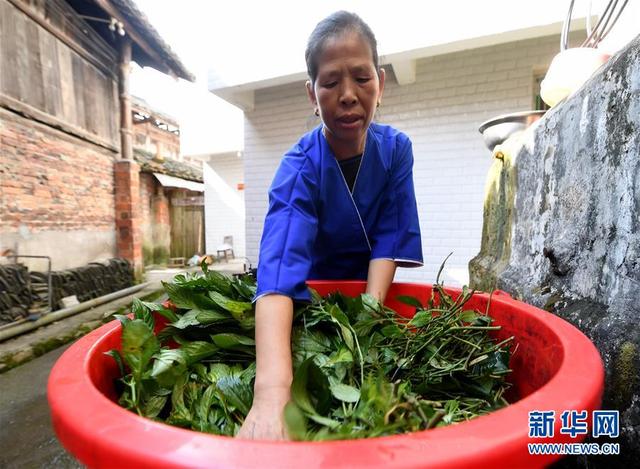 侗乡探秘：亮布侗衣让人迷