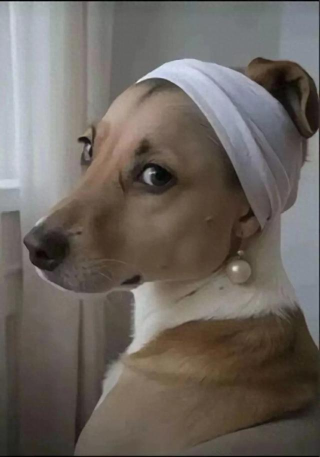 民国南柯梦（279）捕蝶