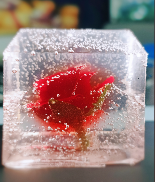 【约会哈尔滨 冰雪暖世界】去年送“小灵龙” 的哈尔滨小伙，今年又做了批“冰封小玫瑰”……