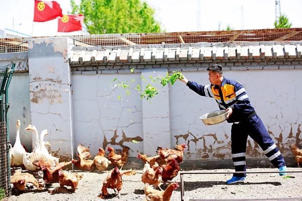 他们在沙漠里实现了“果蔬自由”