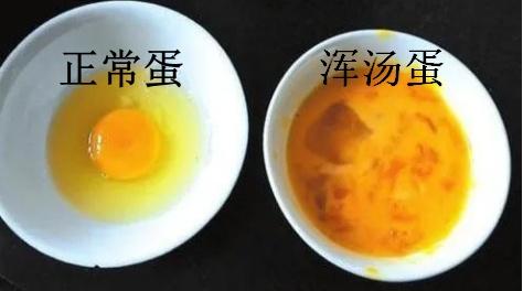 “坏蛋”是怎么炼成的？