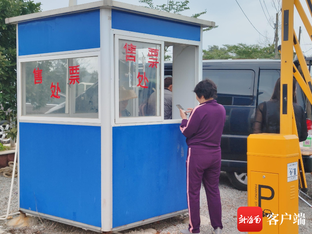 新海南调查｜网红山钦湾能否继续红？