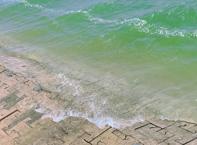 在聊城一键开启你的青春环游记吧！